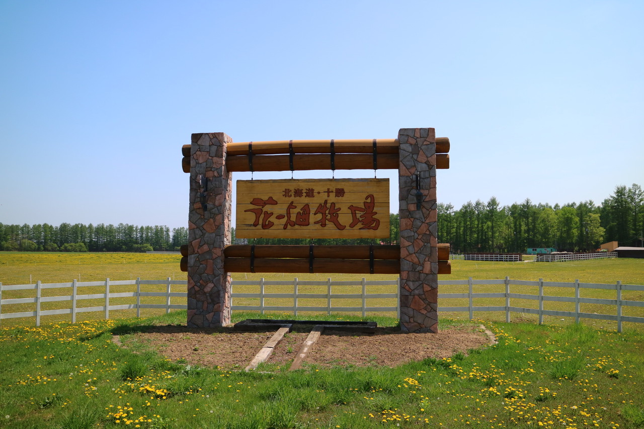 北海道の牧場のおすすめ20選　8位:花畑牧場