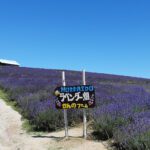 富良野の観光コースのおすすめTOP15！