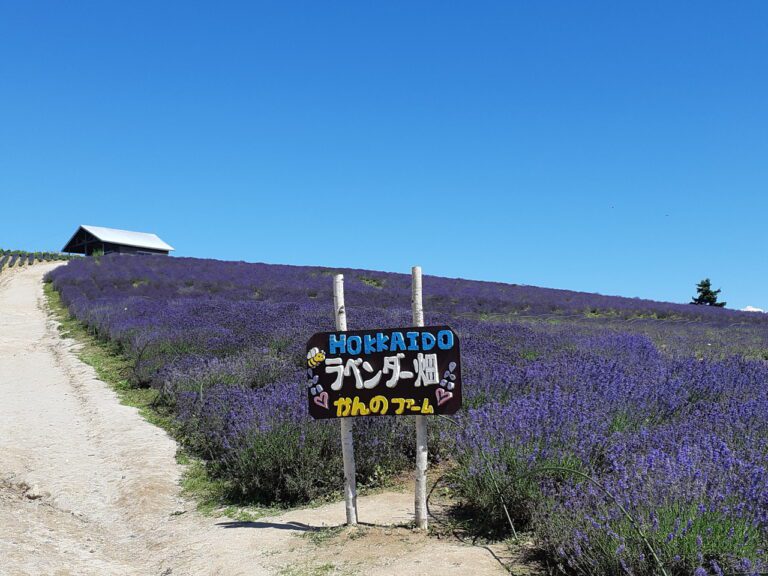 富良野の観光コースのおすすめTOP15！