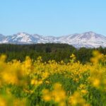 旭川観光の日帰りスポットBEST14